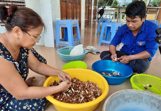 Trồng thành công thứ nấm ngon, giàu sắt, giàu canxi, nhặt loại lớn, anh nông dân Tiền Giang bán 210.000 đồng/kg