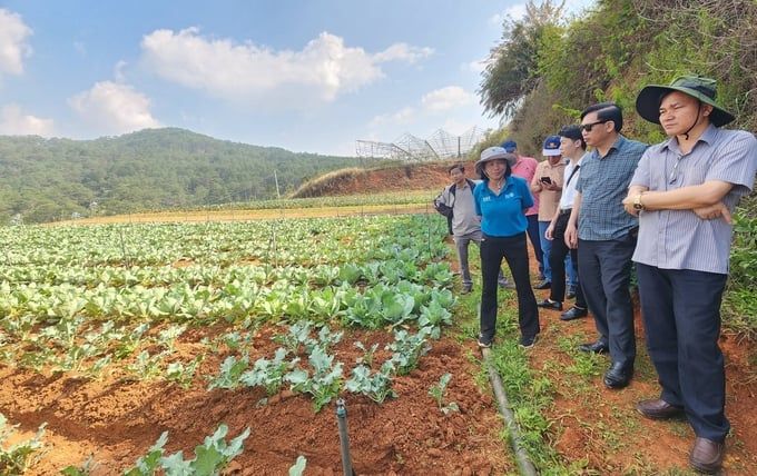 Xây dựng chuỗi liên kết, chìa khóa để nông nghiệp hữu cơ cất cánh