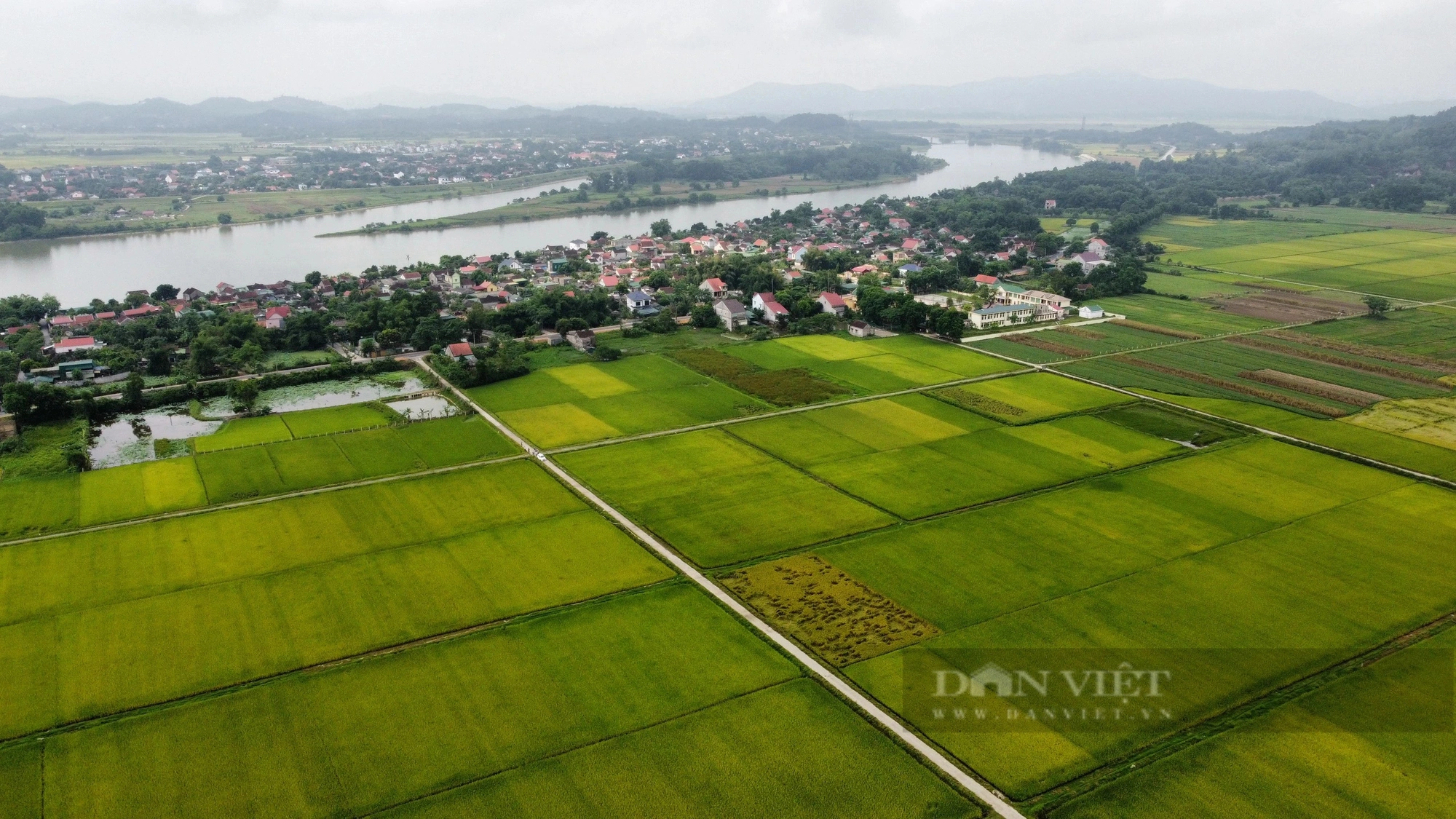 Nông dân Hà Tĩnh trúng mùa, trúng giá vụ lúa Đông xuân