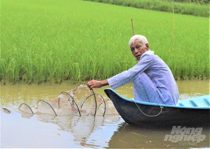 Kiên Giang phát triển 7.000ha trồng trọt hữu cơ