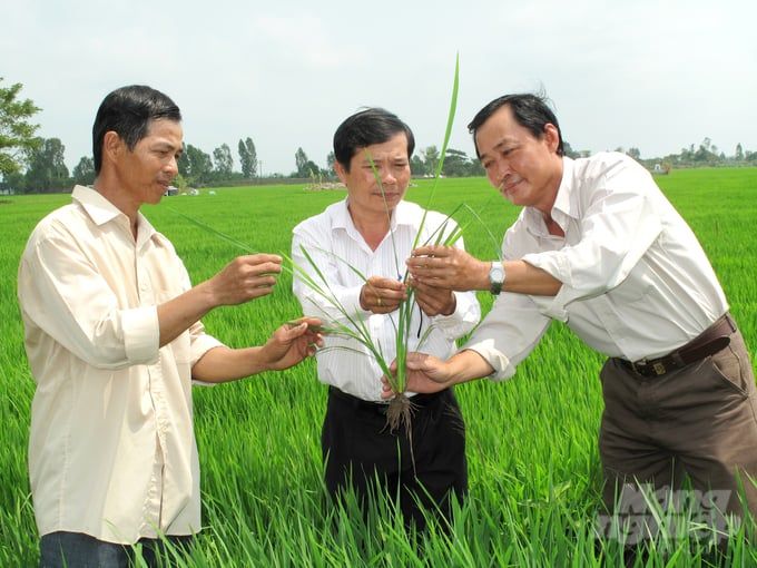 Năm 2024, Đồng Tháp đào tạo nghề nông nghiệp cho hơn 2.000 lao động