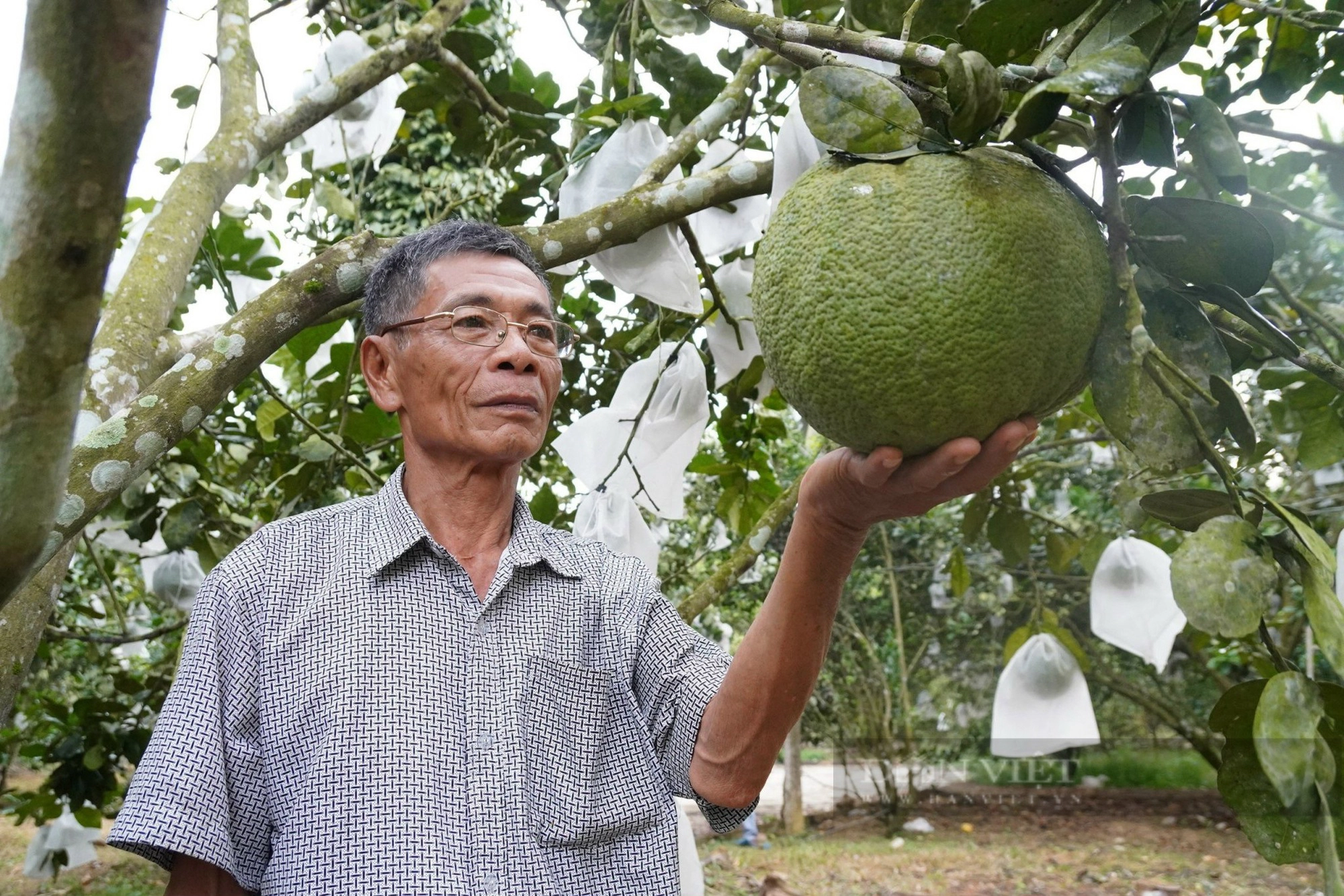 Ngày hội tôn vinh nông sản của người nông dân ở huyện trung du tỉnh Bình Định có gì 