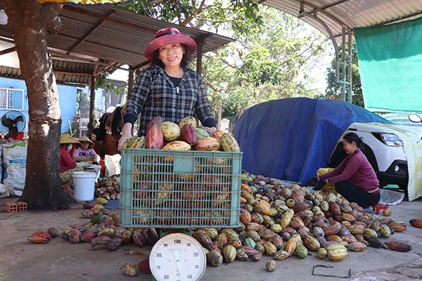 Loại quả này giàu kẽm, tăng trao đổi chất, giúp giảm cân đang tăng giá tốt ở Bà Rịa, Vũng Tàu