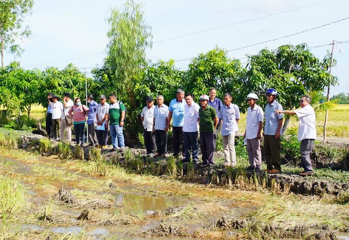 Nâng cao kiến thức cho nông dân tham gia trồng lúa giảm phát thải