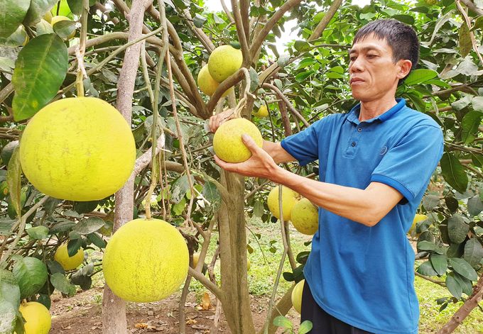 Hà Tĩnh chuyển đổi đất lúa kém hiệu quả