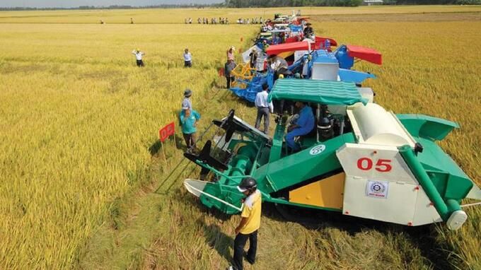 Giám đốc Khuyến nông Quốc gia: Cần hình thành thị trường dịch vụ cơ giới hóa nông nghiệp