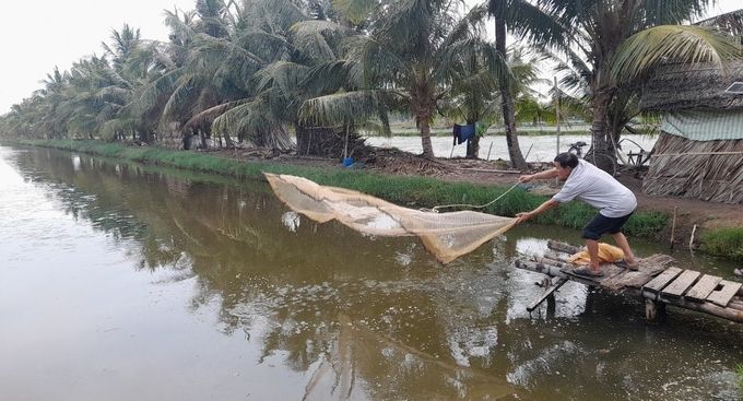 Trà Vinh tìm giải pháp phát triển mô hình nuôi tôm công nghệ cao