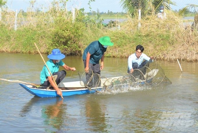 Nuôi trồng thủy sản tăng mạnh bất chấp thời tiết bất lợi