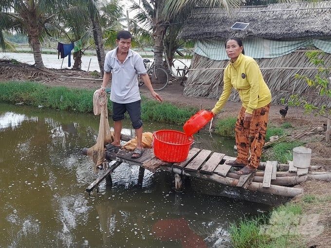 Đổi đời nhờ nuôi tôm trên đất lúa