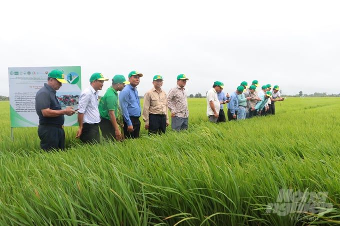 Ngành nông nghiệp Campuchia tham quan mô hình sản xuất lúa thông minh tại ĐBSCL