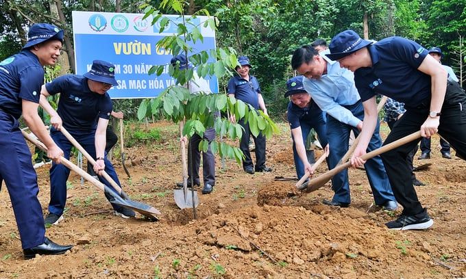 Trồng 4.000 cây xanh nhân Ngày Quốc tế chống sa mạc hóa và hạn hán 