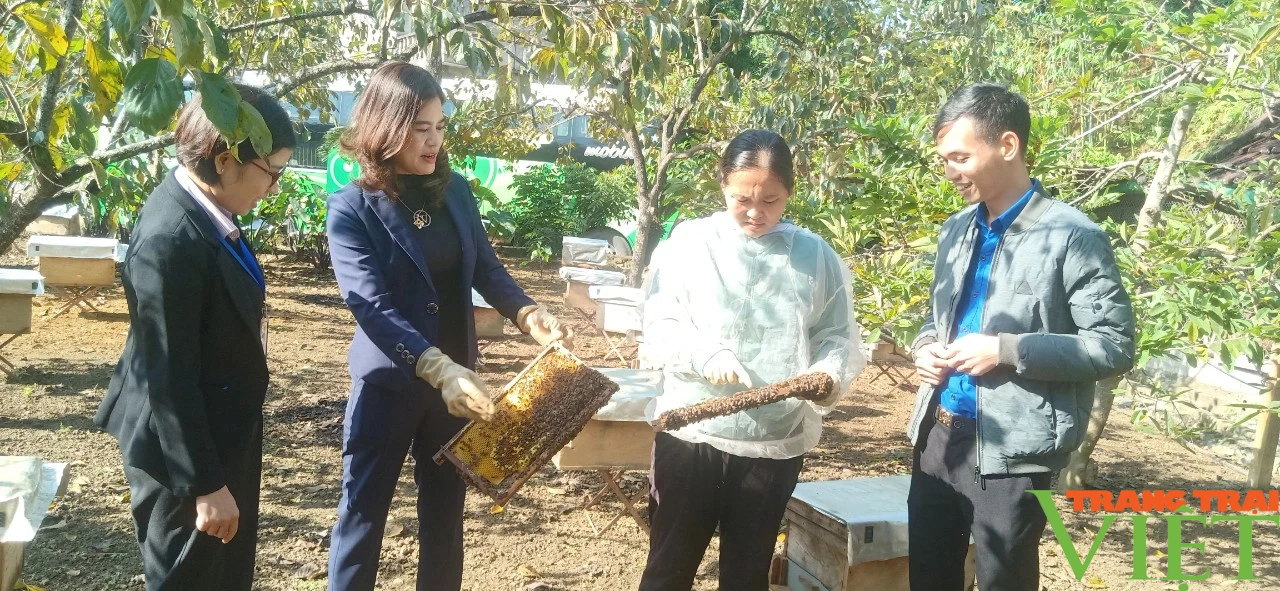 OCOP của nông dân Lào Cai không ngừng vươn xa