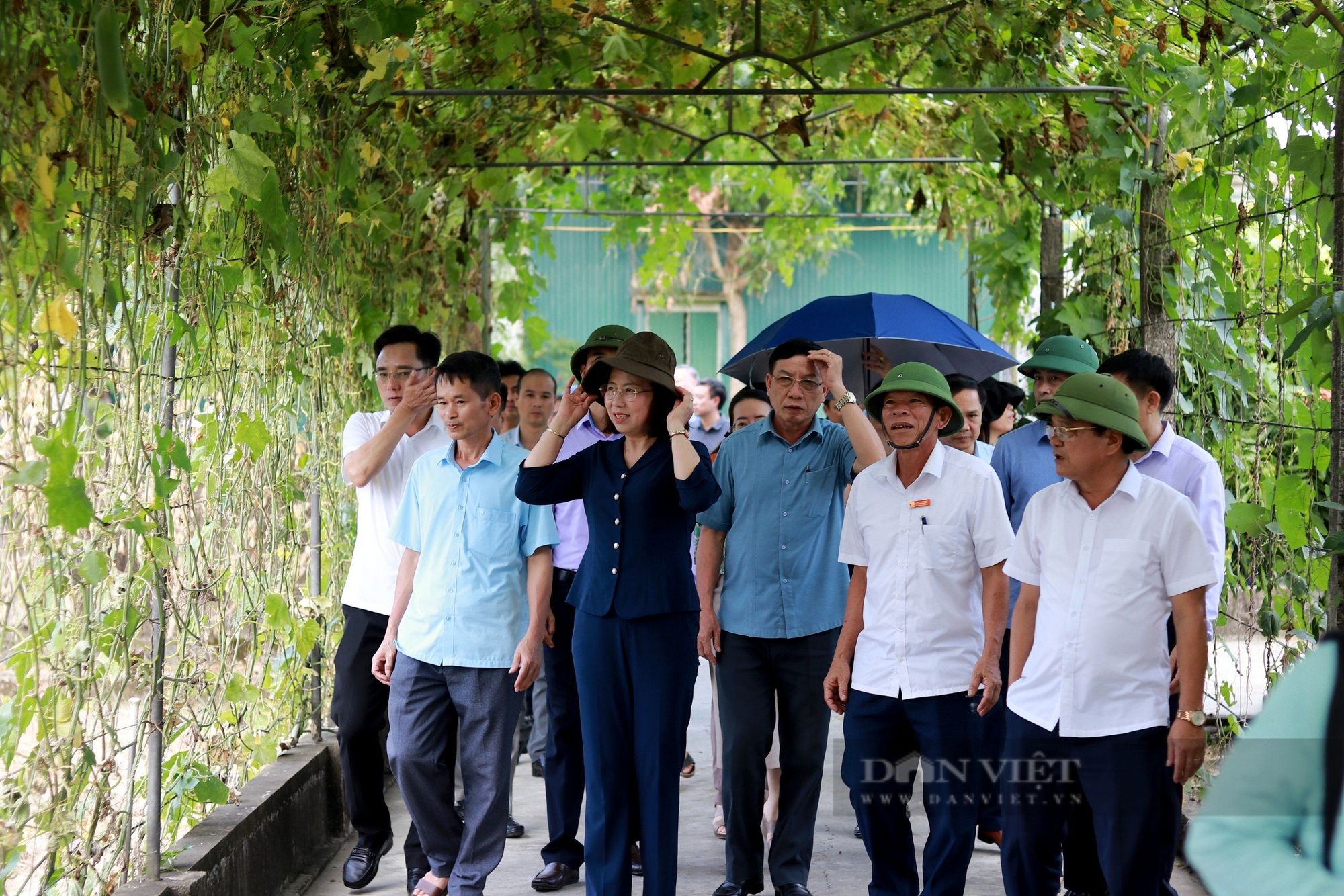 Phó Chủ tịch TƯ Hội NDVN Bùi Thị Thơm đánh giá cao mô hình tích tụ ruộng đất, NTM kiểu mẫu ở Hà Tĩnh