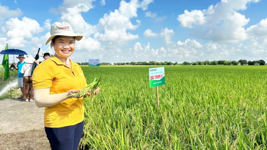 Đề xuất đánh thuế VAT 5% đối với mặt hàng phân bón: Nông dân nói gì?