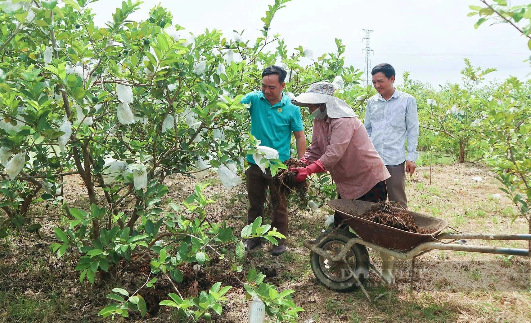 Nông dân Huyện Quỳnh Lưu, Nghệ An đang phấn đấu sản xuất 90.000 tấn phân bón hữu cơ vi sinh