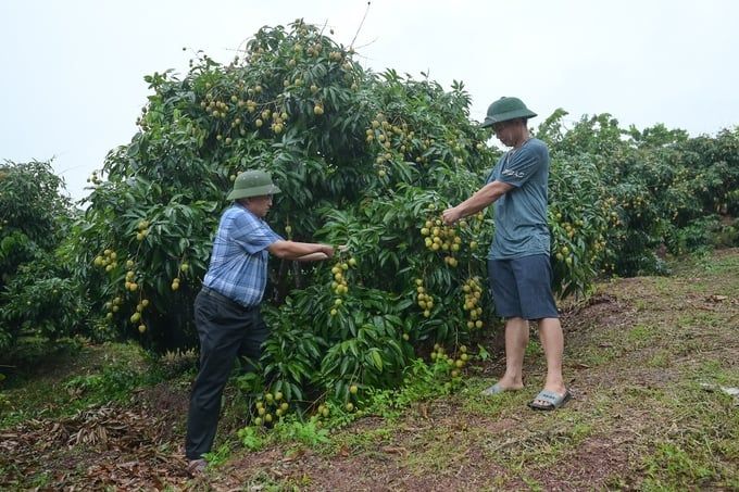 Nông nghiệp hữu cơ, nông nghiệp xanh là xu thế không thể đảo ngược được