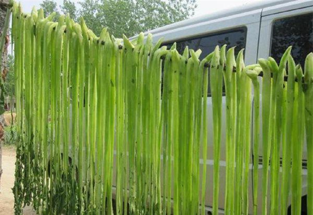 Rau hình dáng trông như nắm cỏ, giá đắt đỏ gần 500.000 đồng/kg mà các bà nội trợ vẫn lùng mua