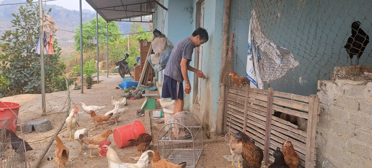 Nậm Pồ: Nâng cao chất lượng cuộc sống cho đồng bào dân tộc thiểu số