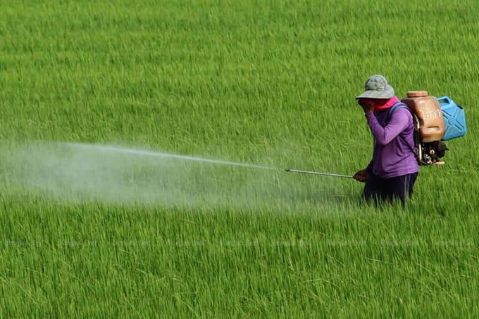 Thái Lan hưởng lợi từ việc hạn chế hóa chất bảo vệ thực vật