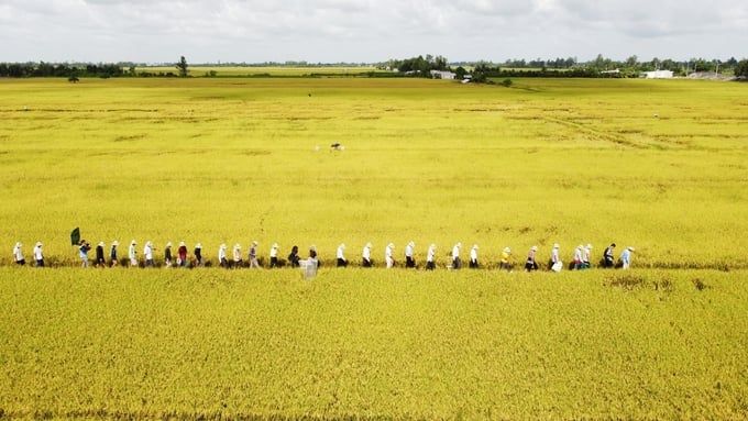 Bổ trợ khoa học công nghệ, hiện đại hóa sản xuất nông nghiệp hữu cơ