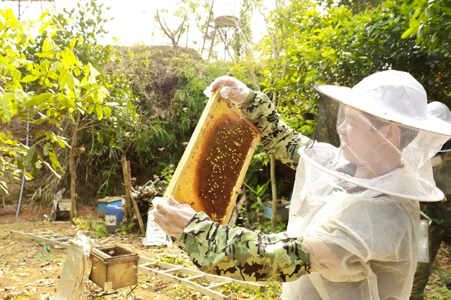 Nông dân Lào Cai xây dựng thành công sản phẩm mật ong núi đá, nhà nào cũng có của ăn của để