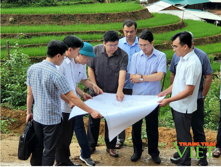 Than Uyên cần tập trung nâng cao chất lượng vùng nguyên liệu, nhất là vùng nguyên liệu chè