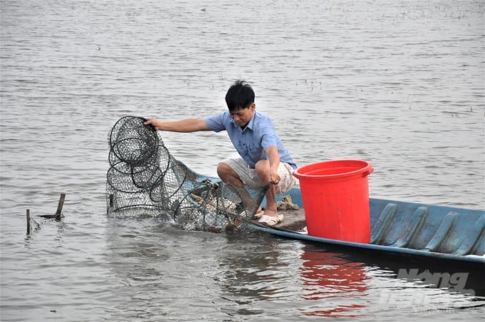 Phát triển kinh tế tập thể trong sản xuất mô hình tôm lúa bền vững