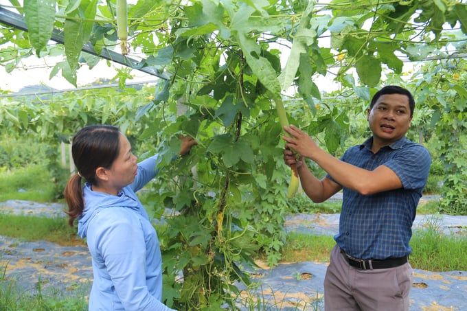 Vùng rau an toàn từ vườn lên phố chỉ cách con sông