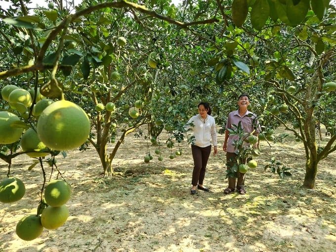 7 sản phẩm nông sản Tuyên Quang được chọn xuất khẩu sang châu Âu