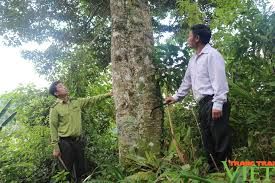 Bí quyết bảo vệ và phát triển rừng ở vùng đồng bào dân tộc thiểu số