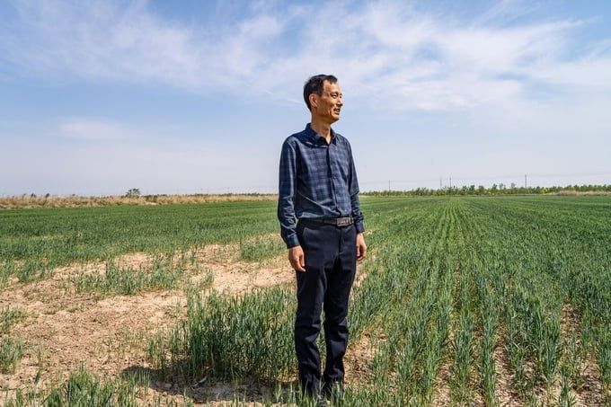 Để gia tăng sản lượng, Trung Quốc biến đất hoang thành đất canh tác