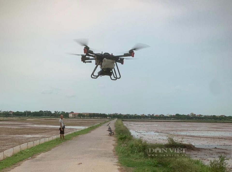 Sau ngập úng, hơn 45.000ha lúa bị thiệt hại, nông dân miền Bắc lái máy bay để gieo cấy lại