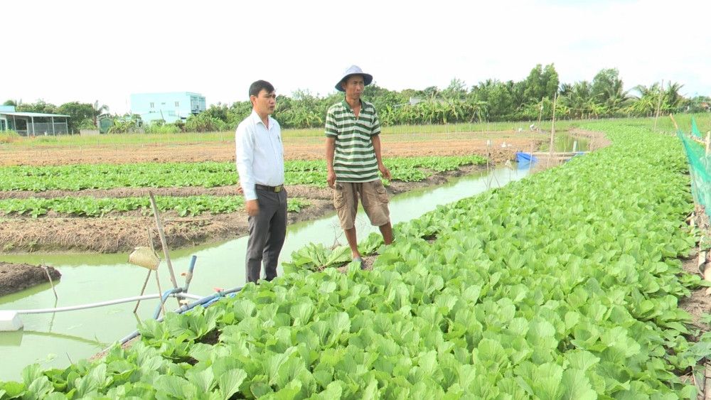 Loại nông sản ăn tươi ở huyện này của Long An hơn 1 tháng nay tụt giá, nông dân chả lãi còn bị lỗ