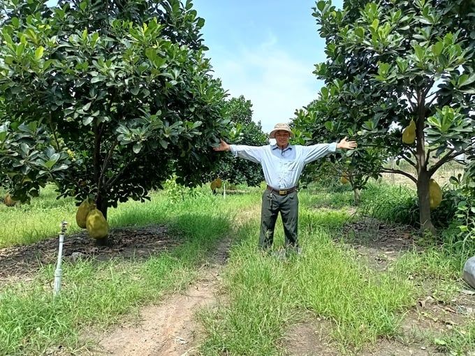 Nơi hội tụ tư duy kinh tế và công nghệ nông nghiệp