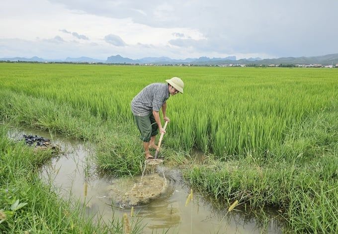 Thiếu nước vụ hè thu: Tưới đâu chắc đó