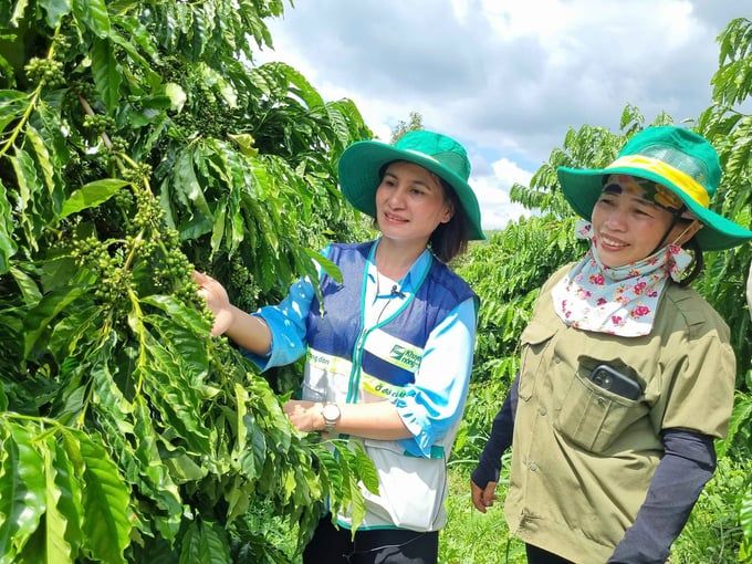 'Kề vai sát cánh' cùng người dân sản xuất cà phê bền vững