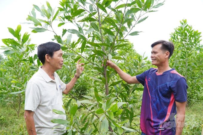 Khuyến nông cộng đồng - Cầu nối tri thức ‘3 đầu 6 tay’ cũng chẳng hết việc để làm