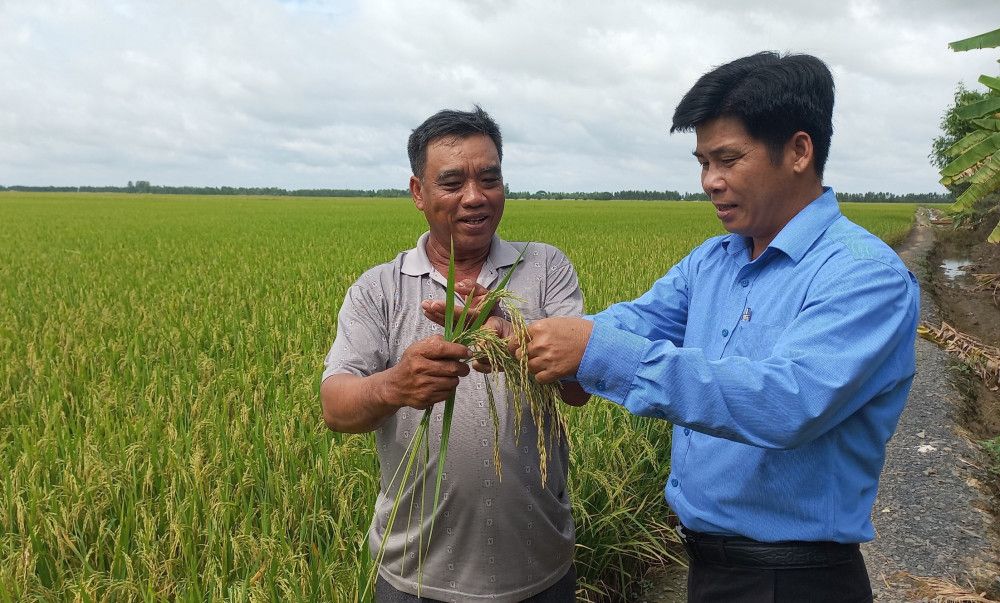 Long An: Những nông dân sản xuất, kinh doanh giỏi