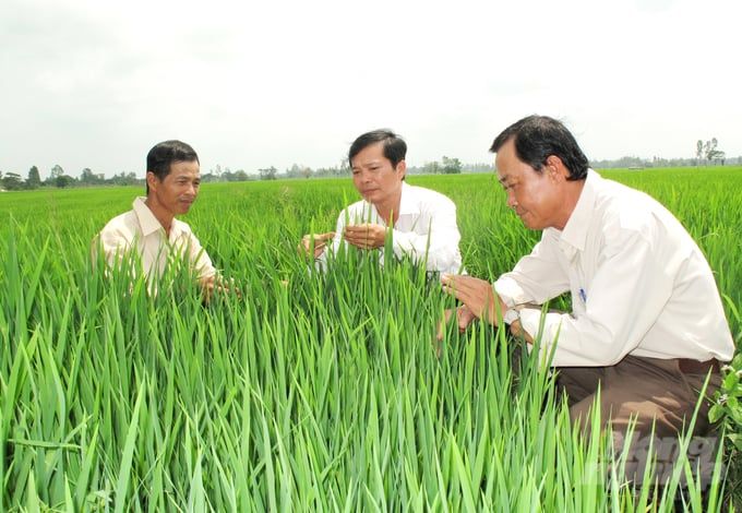 Khuyến nông cộng đồng - Cầu nối tri thức Để bền vững, cần có sự tham gia của tổ chức, doanh nghiệp