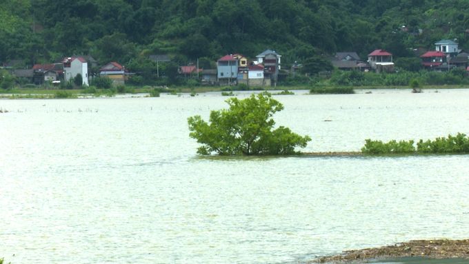 Bắc Kạn: Nhiều đồng lúa chìm sâu trong nước