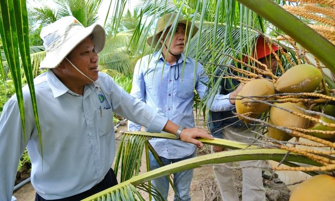 Bùng nổ xuất khẩu rau quả: [Bài 9] Cục Trồng trọt đưa giải pháp để xuất khẩu bền vững