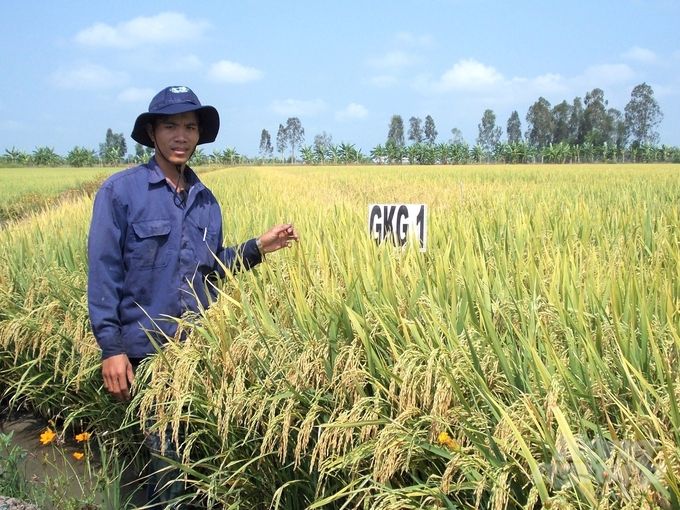 Kiên Giang dồn lực khoa học công nghệ cho nông nghiệp