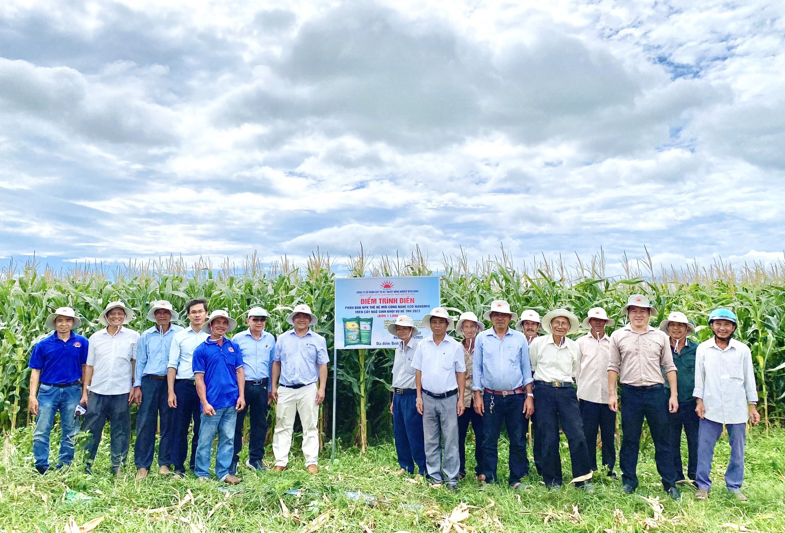 Cách bón phân hiệu quả cho cây ngô sinh khối, năng suất bình quân hơn 74 tấn/ha