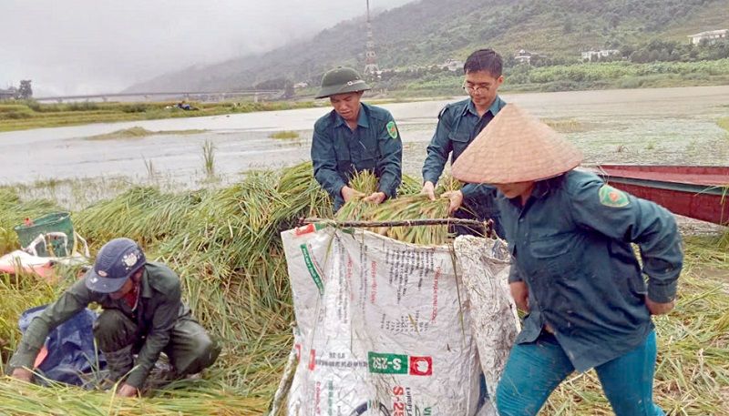 Điện Biên: Huy động lực lượng phòng, chống thiệt hại do mưa bão Yagi