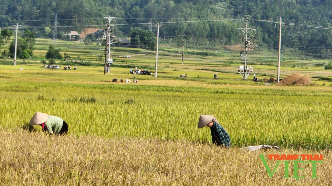 Nhiều chỉ tiêu kinh tế - xã hội của huyện Than Uyên đạt tiến độ kế hoạch đề ra