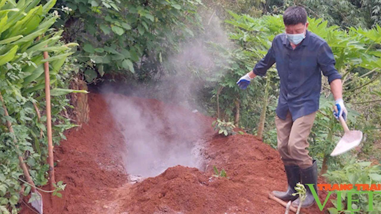 Sơn La không để dịch tả lợn châu Phi lây lan, bảo đảm an toàn đàn lợn