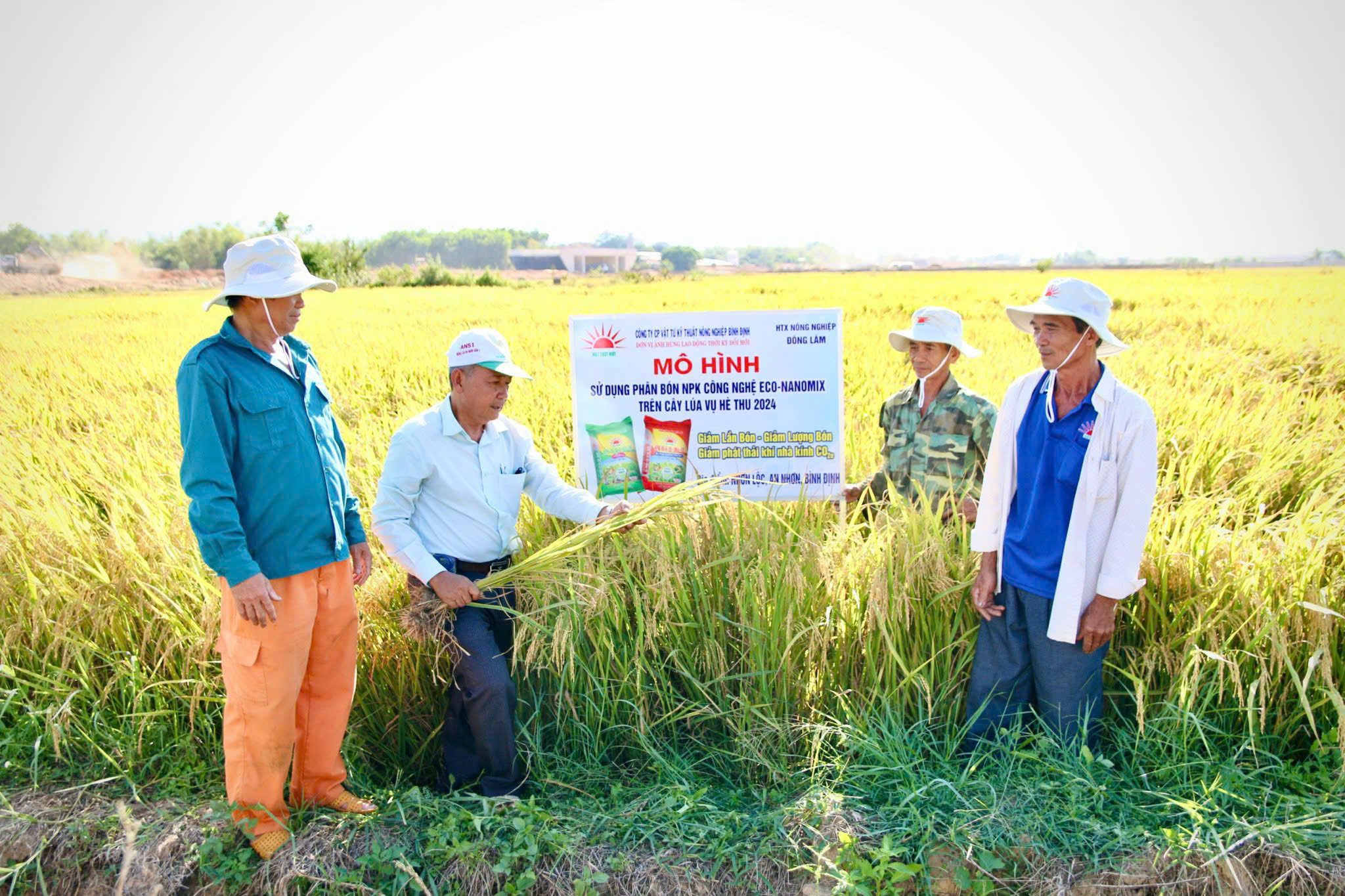 Thấy được loại phân bón hiệu quả cao, nông dân mạnh dạn ứng dụng cho hai vụ liên tiếp