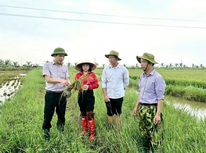 Hải Phòng tạo điều kiện tốt nhất vốn vay để tái sản xuất nông nghiệp