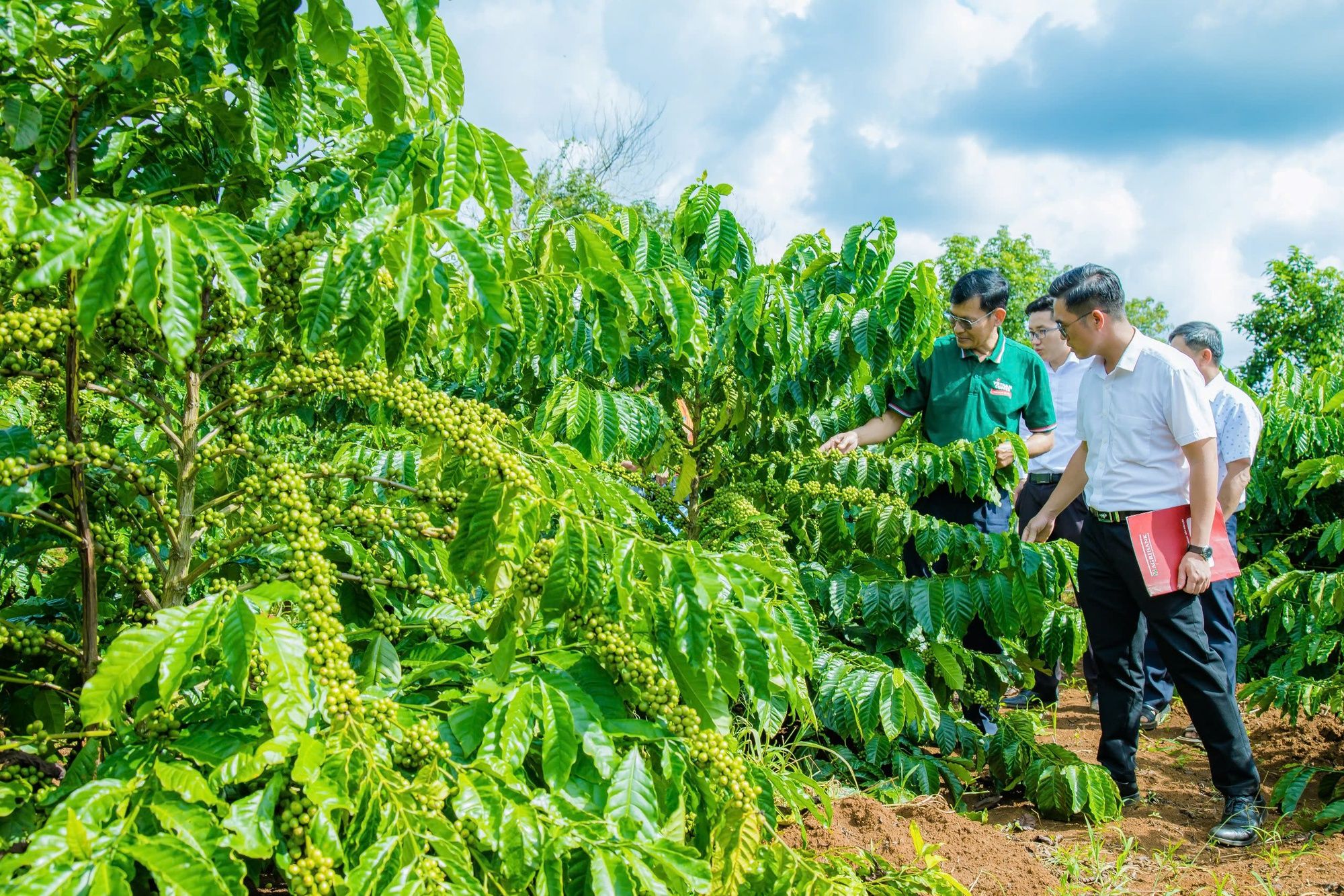 Diễn đàn Nông dân Quốc gia lần thứ IX: HTX Bình Minh ở Đắk Nông đưa giải pháp ổn định giá cà phê, hồ tiêu