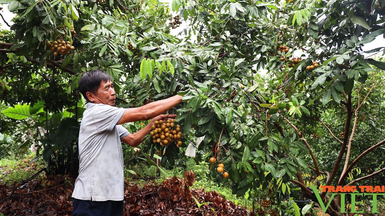 Nông dân vùng biên thi đua sản xuất kinh doanh giỏi giúp nhau làm giàu